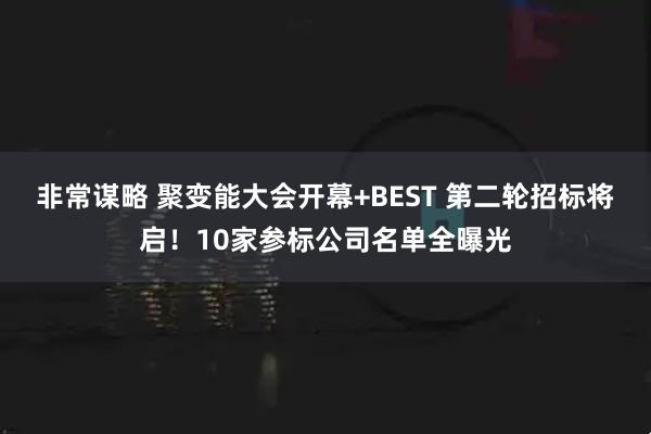 非常谋略 聚变能大会开幕+BEST 第二轮招标将启！10家参标公司名单全曝光