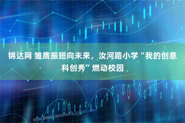 锦达网 雏鹰振翅向未来，汝河路小学“我的创意科创秀”燃动校园